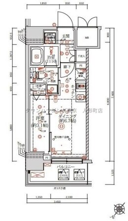 クオリタス日本橋浜町の物件間取画像